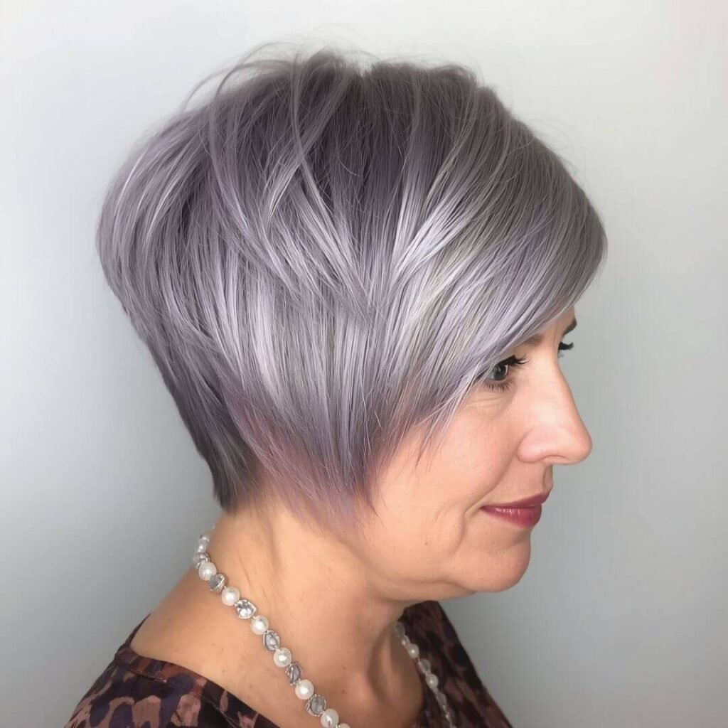 Soft Lavender Grey Pixie Bob